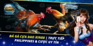 Đá Gà Cựa Dao XIN88